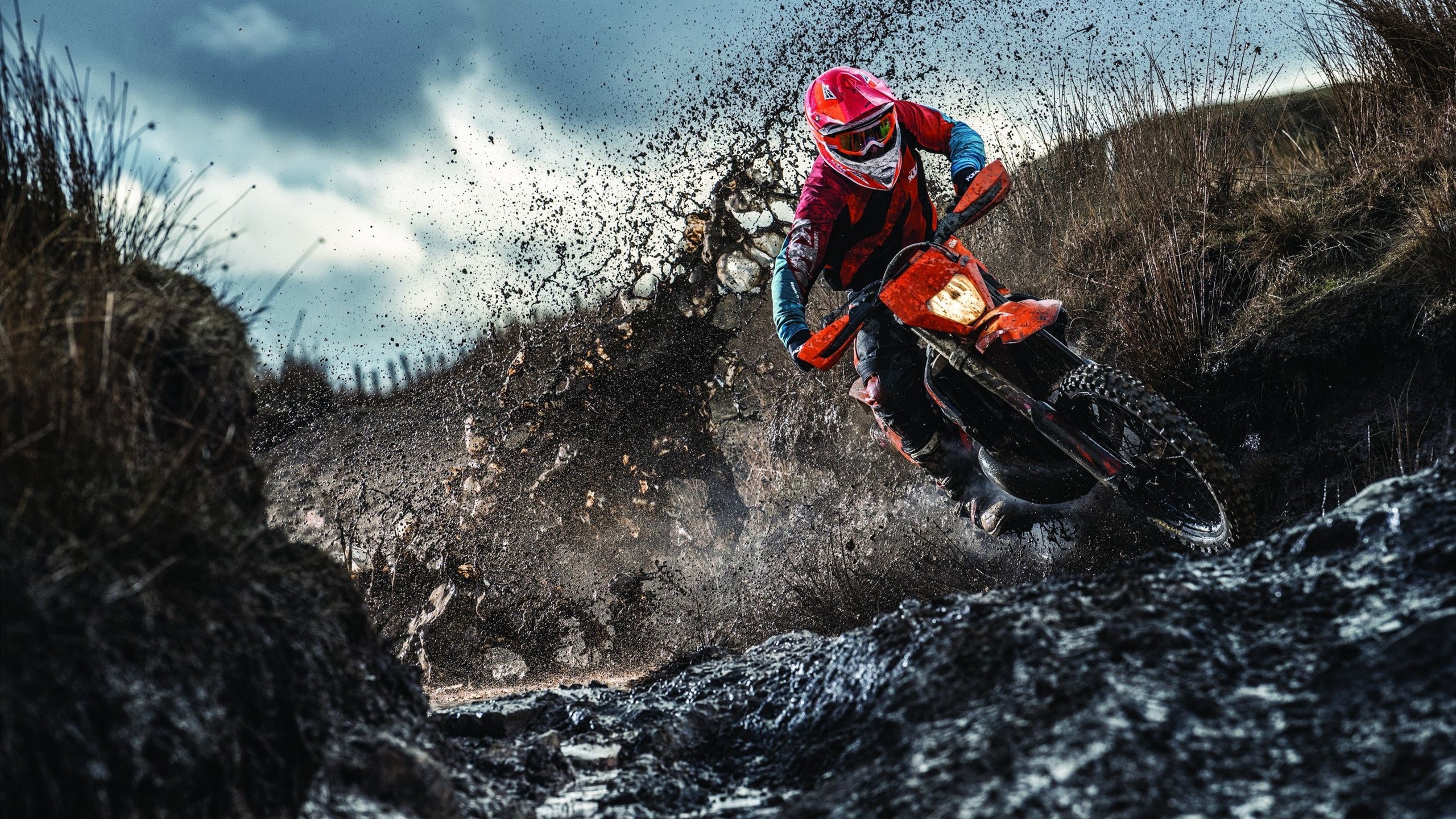 中国赛车手在国际耐力赛中夺冠，书写历史新篇章，中国 赛车手